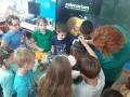 FoodRevolutionDay2017_Zelenarium_OS_BUkovac_6_WEB